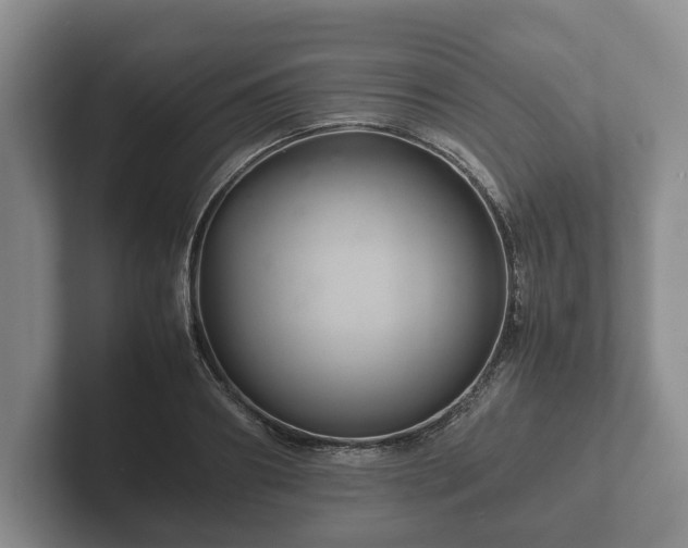 X0000102380890200808081135