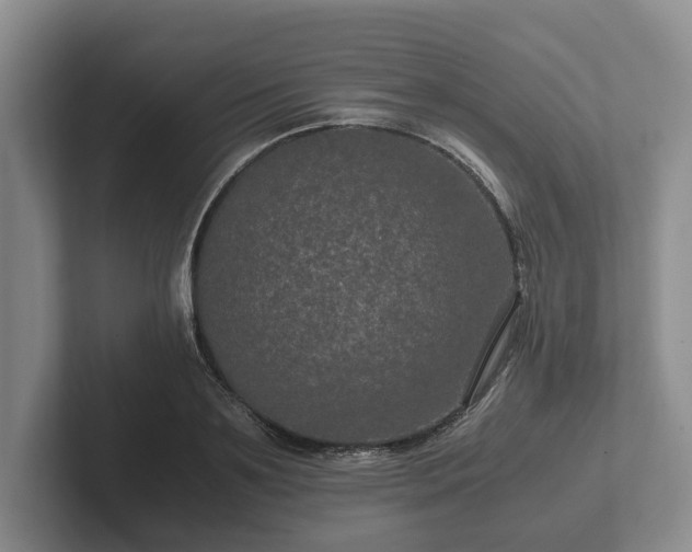 X0000102380891200808081135