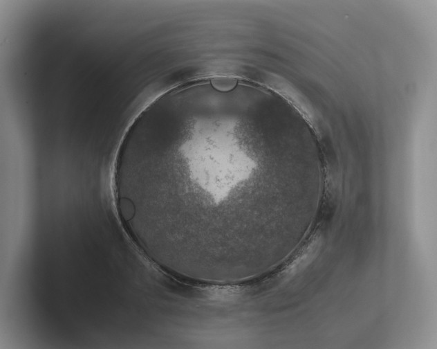 X0000102380893200808081135