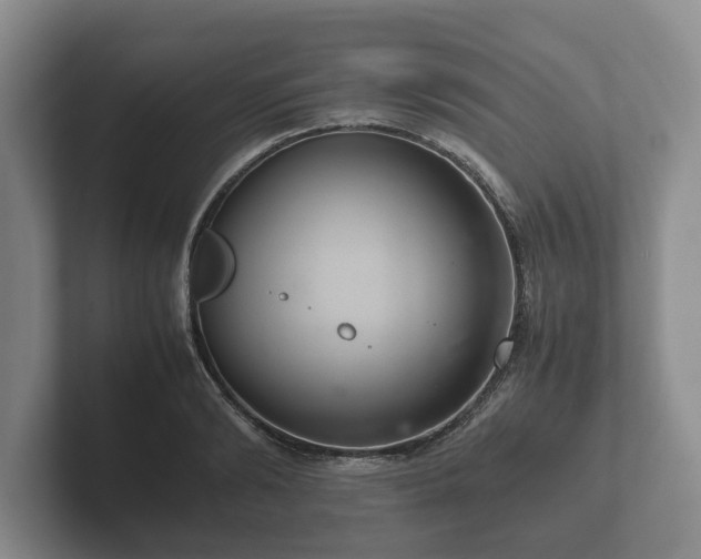 X0000102380894200808081135