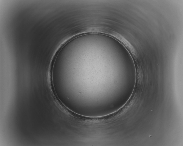 X0000102380896200808081135