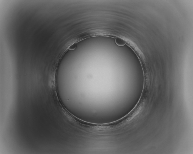 X0000102380897200808081135
