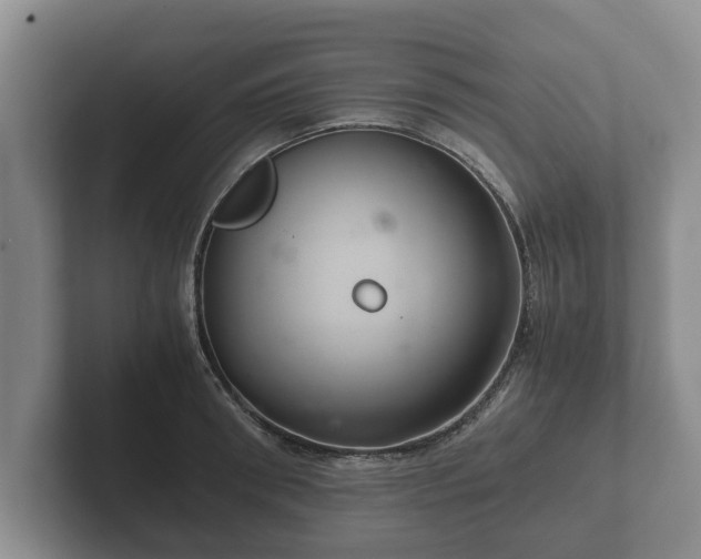 X0000102380898200808081135