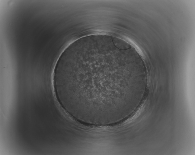X0000102380899200808081135