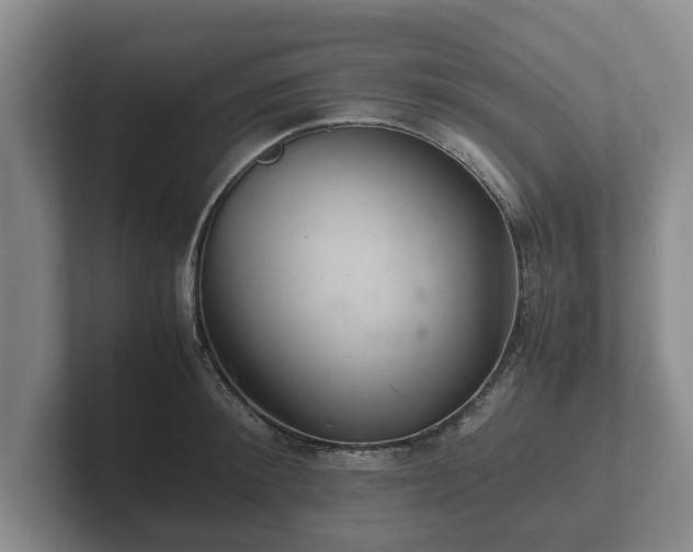 X0000102380900200808081135