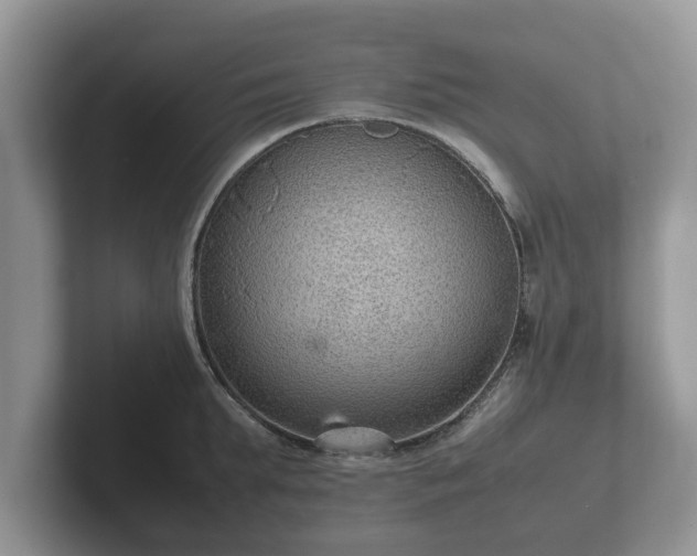 X0000102380903200808081135