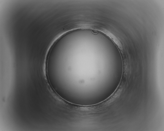 X0000102380904200808081135