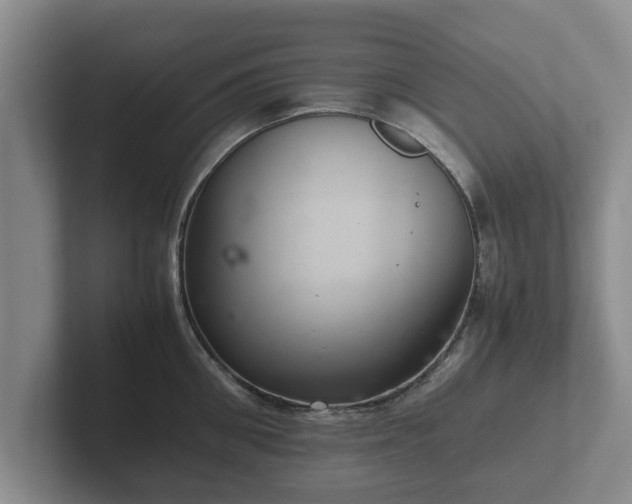 X0000102380906200808081135