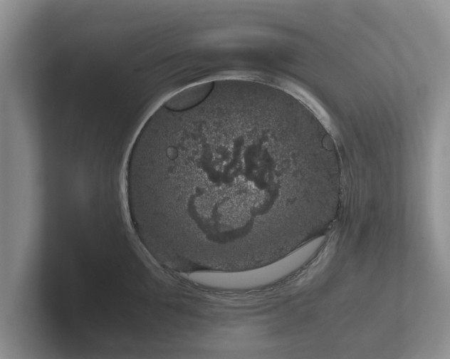 X0000102380907200808081135