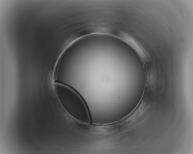 X0000102380908200808081135