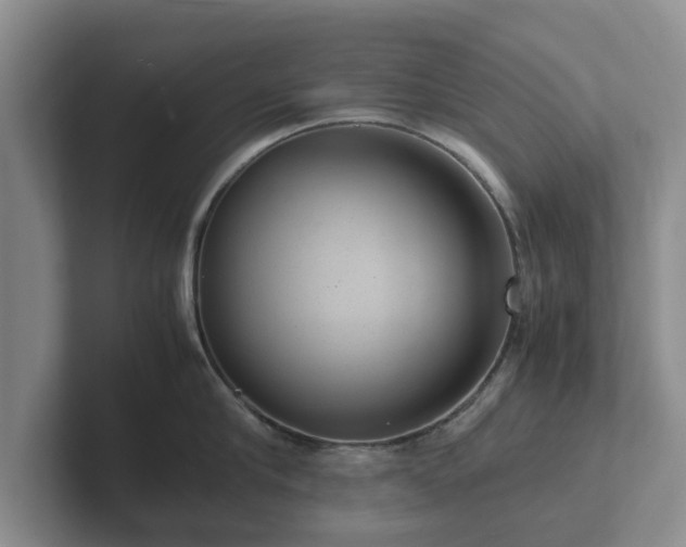 X0000102380910200808081135