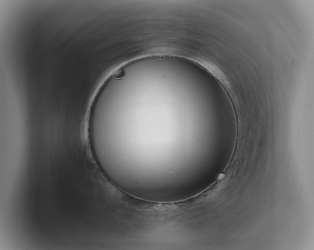 X0000102380912200808081135