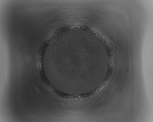 X0000102380916200808081134