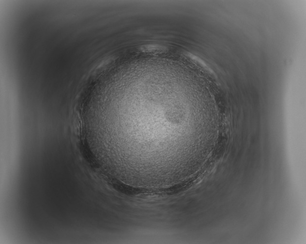 X0000102380917200808081134