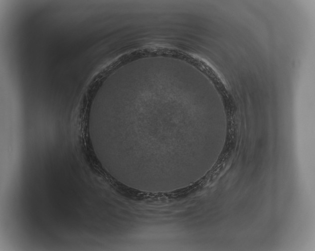 X0000102380919200808081134