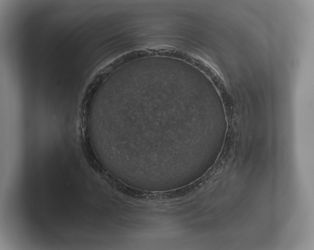 X0000102380920200808081134