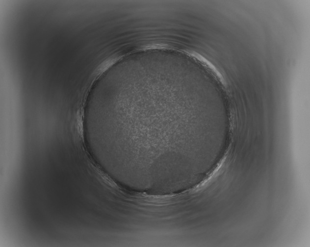 X0000102380921200808081134