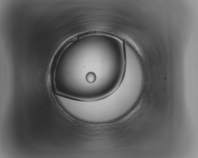 X0000102380924200808081134