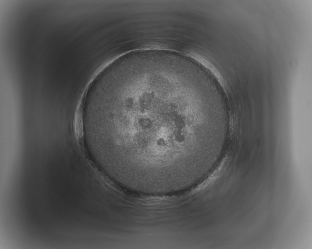 X0000102380925200808081134