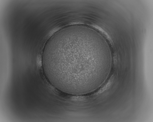 X0000102380929200808081134