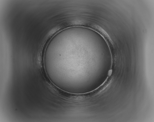 X0000102380930200808081134