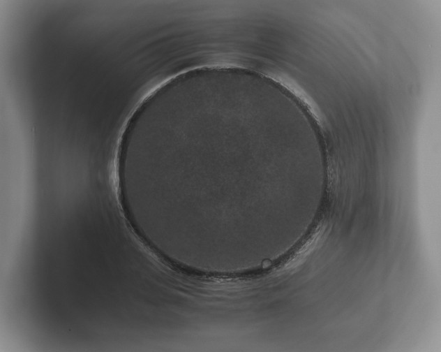 X0000102380935200808081134