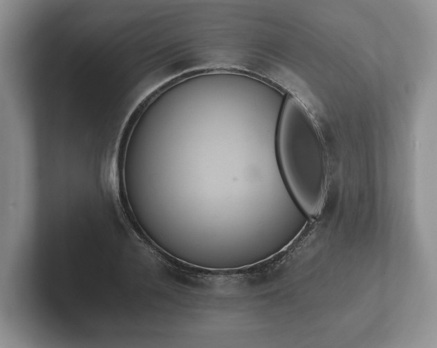 X0000102380936200808081134