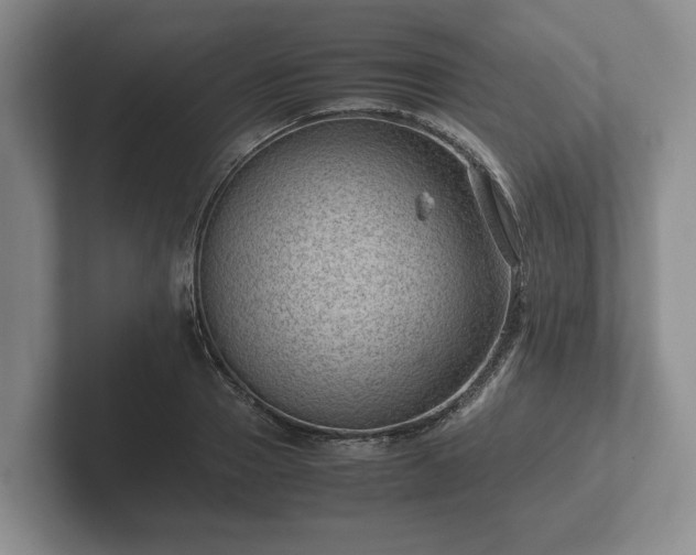 X0000102380937200808081134