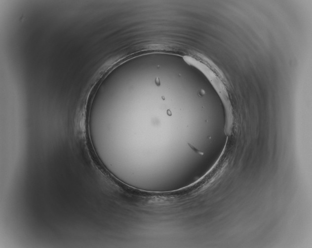 X0000102380938200808081134