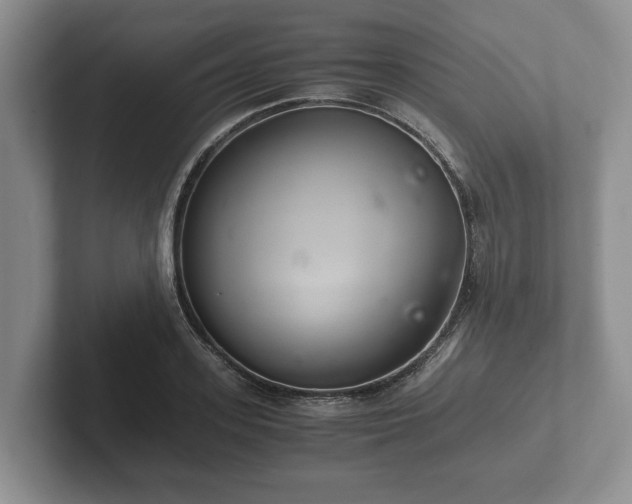 X0000102380939200808081134
