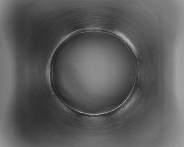 X0000102380941200808081134