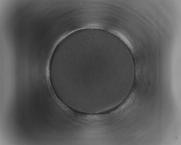X0000102380944200808081135