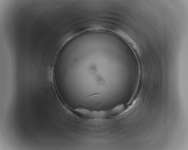 X0000102380945200808081135