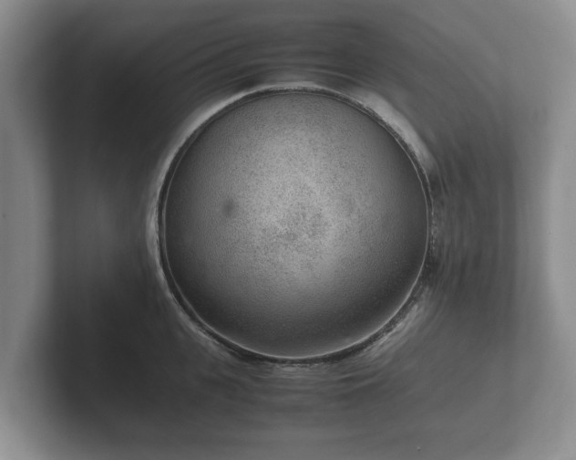X0000102380951200808081135