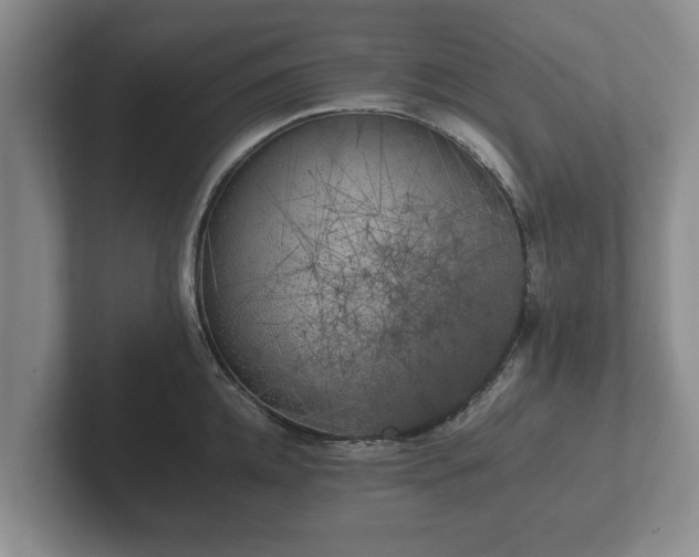 X0000102380952200808081135
