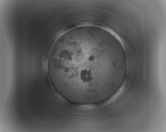 X0000102380953200808081135