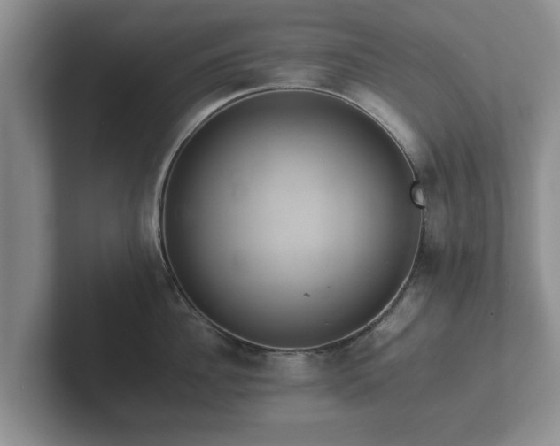 X0000102380956200808081135