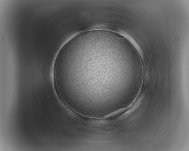 X0000102380957200808081135
