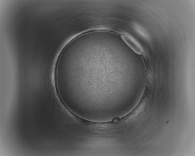 X0000102380959200808081135