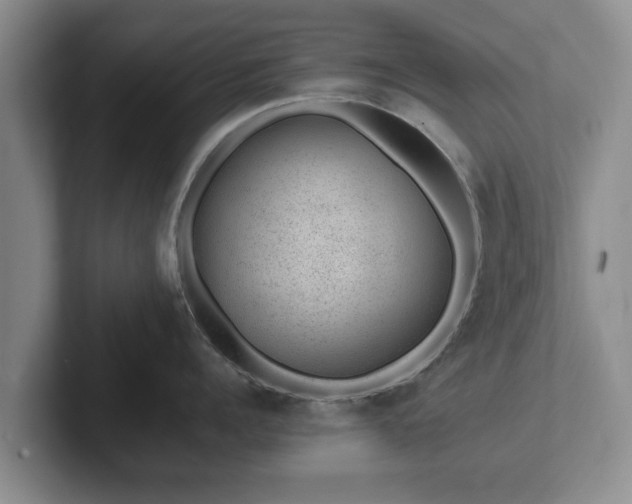 X0000102380960200808081135