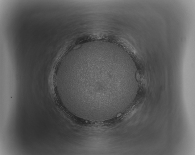X0000102380961200808081134