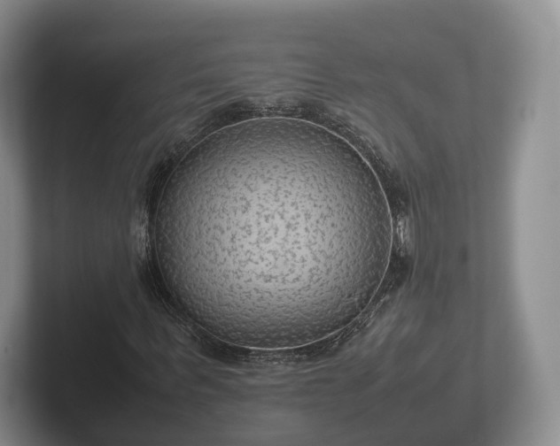 X0000102380963200808081134