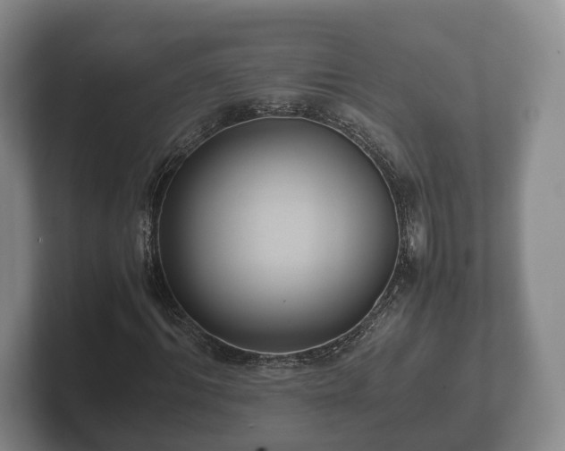 X0000102380964200808081134