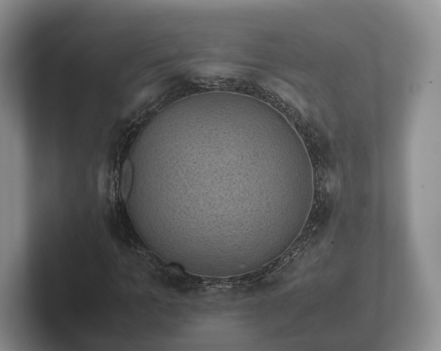 X0000102380965200808081134