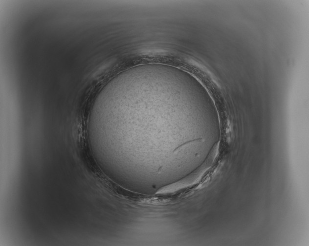 X0000102380966200808081134