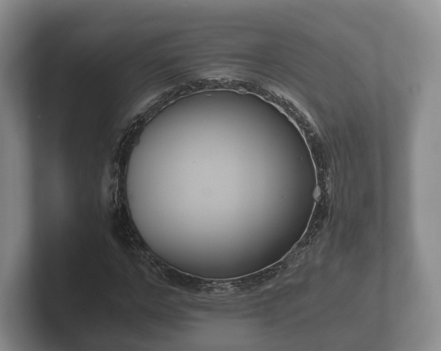 X0000102380968200808081134