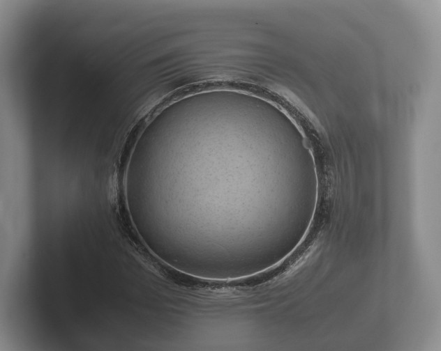 X0000102380969200808081134