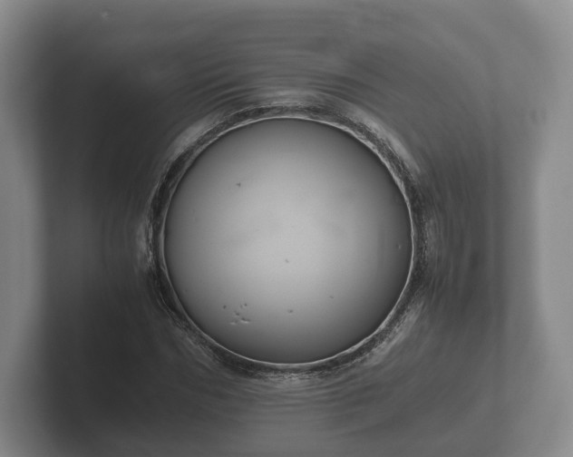 X0000102380970200808081134