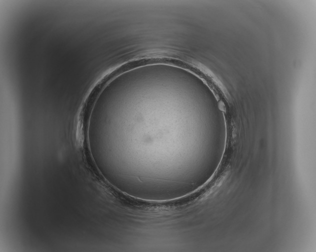 X0000102380973200808081134