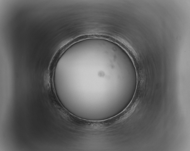 X0000102380974200808081134